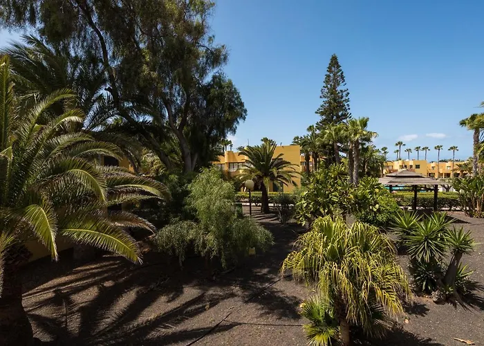 Blue Pearl Apartament Corralejo