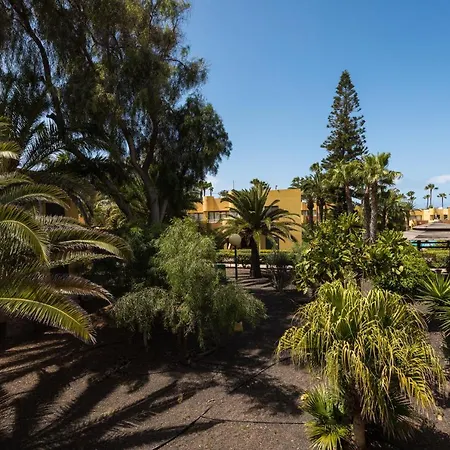 Blue Pearl Apartment Corralejo
